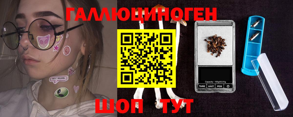 Псилоцибиновые грибы Psilocybe Магнитогорск